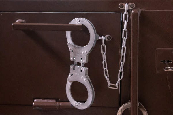 В&nbsp;России задержали главу одной из&nbsp;крупнейших майнинговых компаний BitRiver