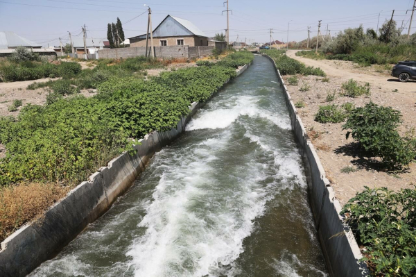 Поливать с умом