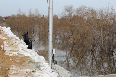 В Новосибирской области начали готовиться к паводку из-за снежной зимы