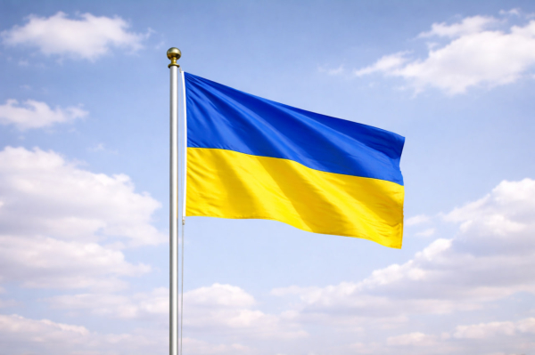 Египет выступил за устранение коренных причин украинского кризиса