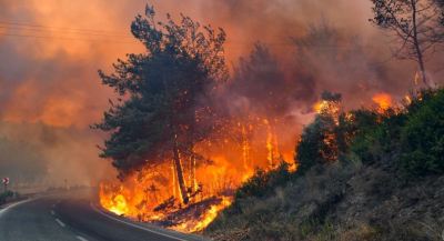 Лесные пожары охватили три провинции Турции