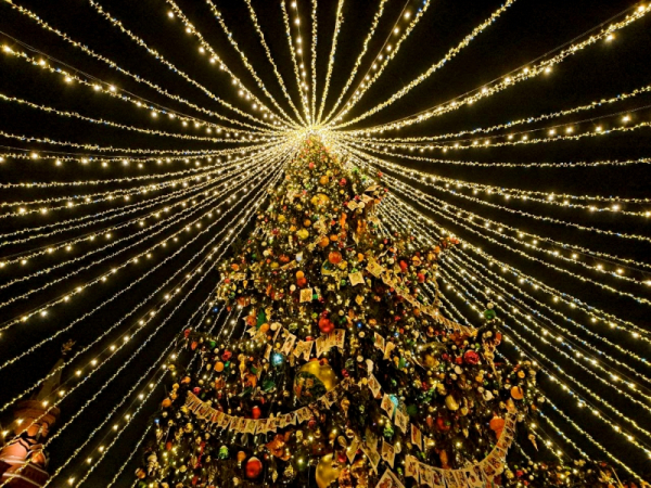 С главной площади Петербурга убрали новогоднюю елку