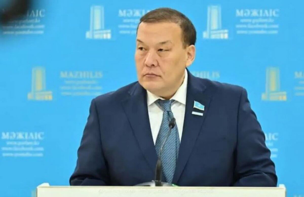 Президентские шаги решают проблемы и формируют основу для развития – депутат Мажилиса