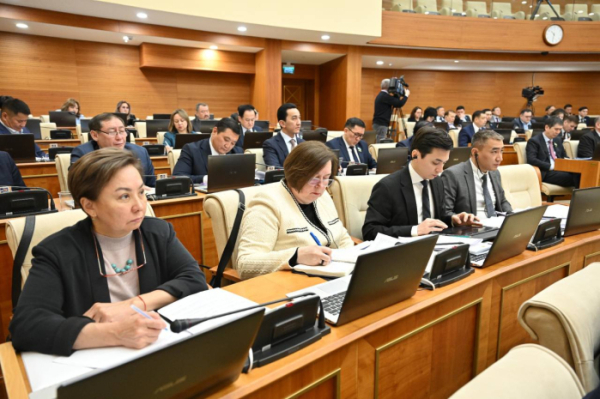 Мажилисмены поддержали отставку Жулдыз Сулейменовой