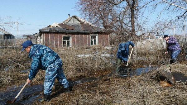 Двух детей спасли из затопленного дома полицейские из Петропавловска