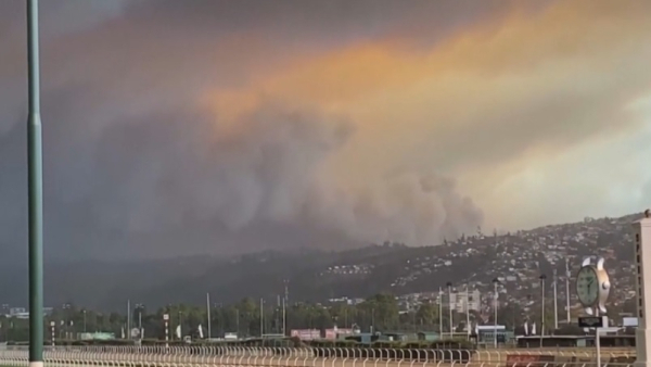 Пожары в Чили: 51 погибший, около 200 пропавших без вести