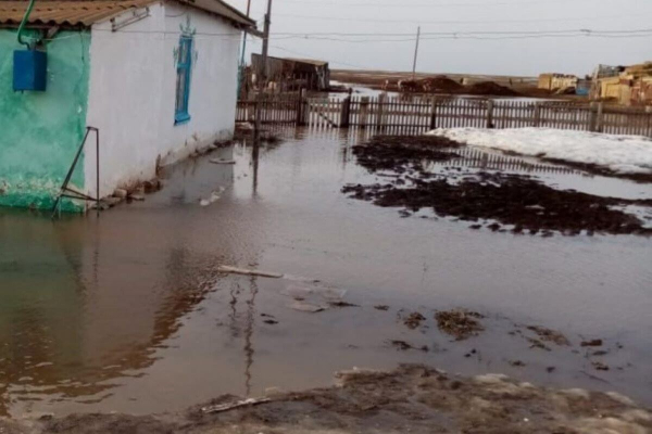 Малыш захлебнулся насмерть в луже талой воды в Актюбинской области