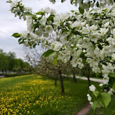 В Татарстане с 5 мая начнется настоящее лето
