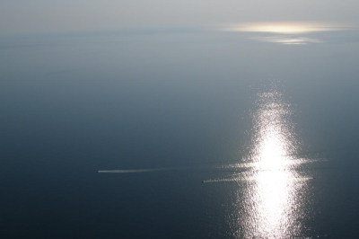 Мать пловца Свечникова заявила, что его тело доставят в Москву 24 января