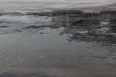 Пропавшую школьницу обнаружили мертвой в Астане