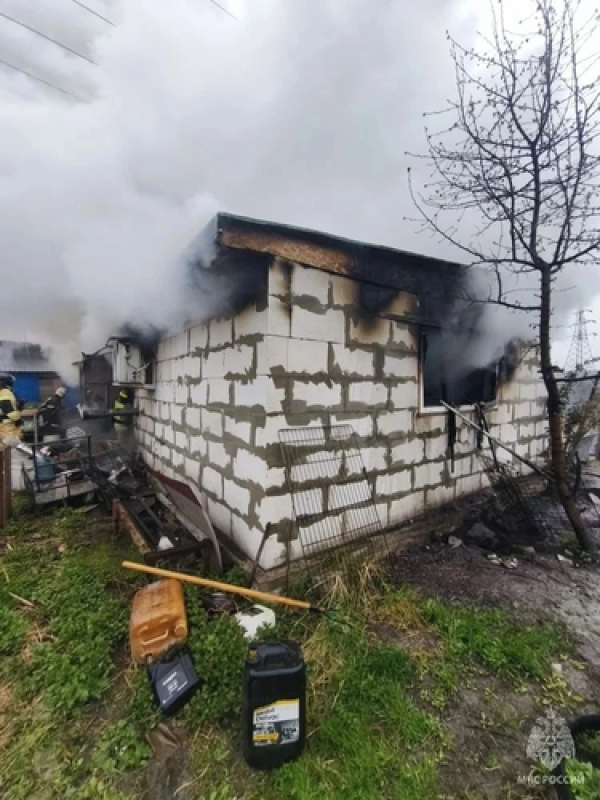 200 собак заживо сгорели в российском регионе