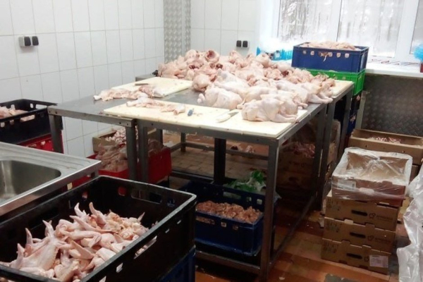 Роспотребнадзор обнаружил в Казани производство цыплят, зараженных сальмонеллой