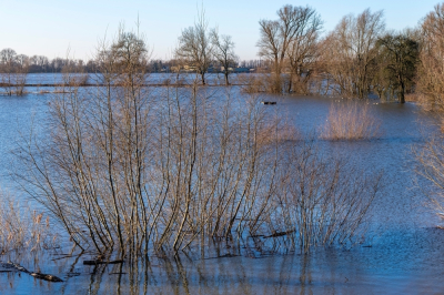 В Татарстане запустили систему мониторинга и прогнозирования паводка