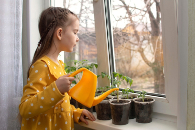 Садоводам рассказали, какие культуры надо сеять на рассаду в конце февраля
