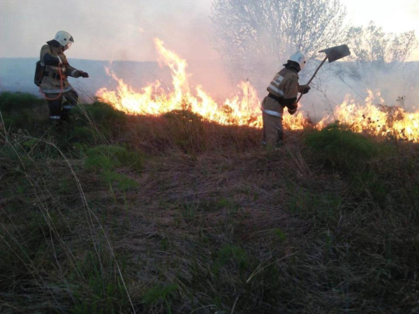 Площадь степного пожара в Карагандинской области выросла до 35 тыс. га