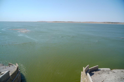 В Туркестанской области усилили контроль за подачей воды на сельхозугодья