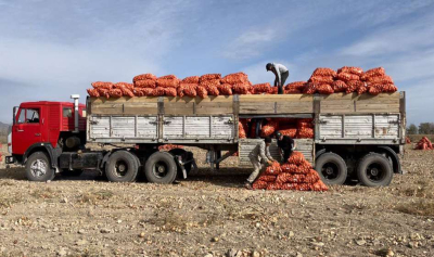 Получателей сельхозсубсидий обяжут отчитываться о росте валовой продукции