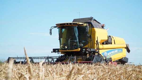 Акмолинская область собрала рекордные 7,1 млн тонн зерна