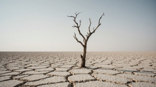 Экс-глава МИД КР призвал соседей к совместному содержанию водохранилищ