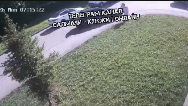 Легковушка снесла двоих малышей в ЖК &laquo;Царево&raquo; под Казанью - жуткое видео 18/05/2026 &ndash;