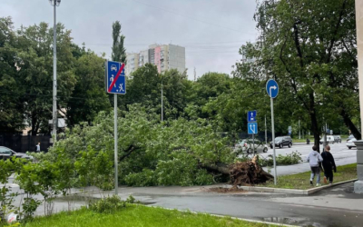 Мощный ураган накрыл Москву. Погибли два человека