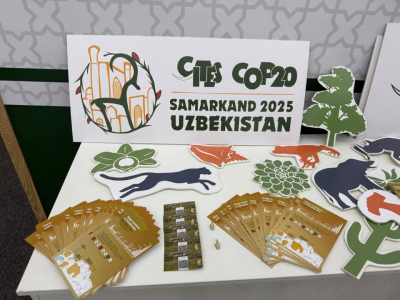 В Самарканде стартовала 12-дневная программа CITES COP20