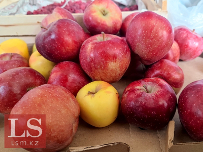 Казахстан удвоил экспорт яблок, но внутри страны цены продолжают расти. Инфографика