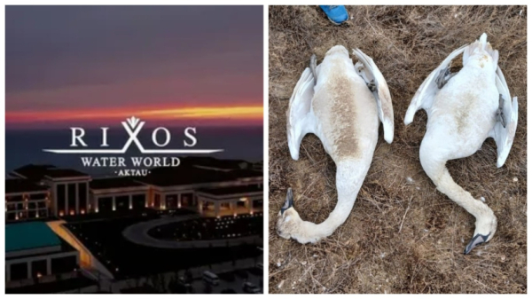 На 2 миллиона оштрафован отель Rixos за загрязнение озера Караколь