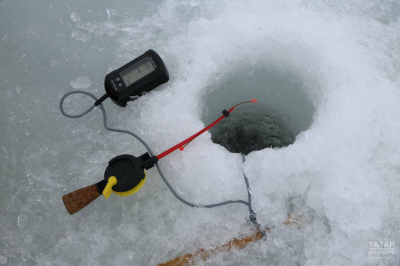 На территории заказника &laquo;Устье реки Меши&raquo; с февраля вводится запрет на рыбалку