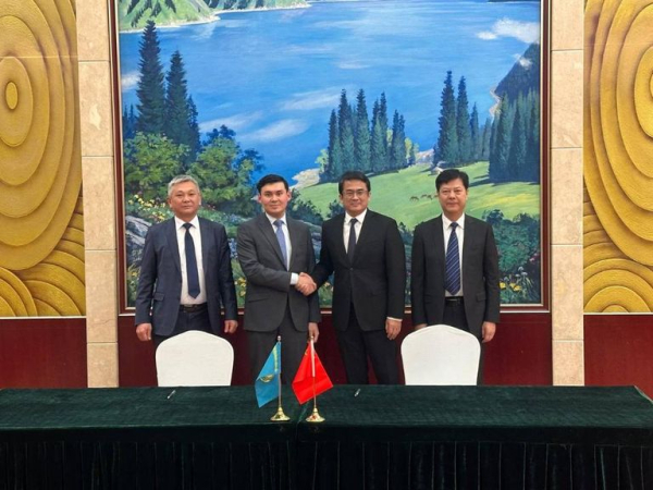 Казахстан будет сотрудничать с КНР в работе по борьбе с саранчовыми