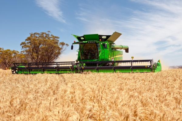 Костанайские аграрии собрали зерновые с 30 тысяч гектаров