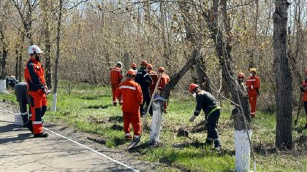 Металлурги и студенты вышли на субботник в Темиртау