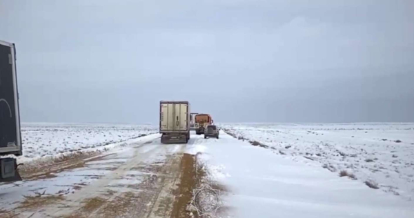 Более 500 человек эвакуировали и спасли из снежных заносов сотрудники МЧС