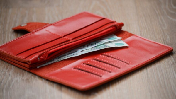 Мужчина выдавал себя за умирающую женщину и тратил украденные деньги на содержание лошади 24/02/2026 &ndash; Новости