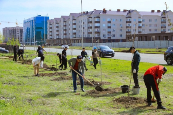 Актюбинцы массово сажают деревья