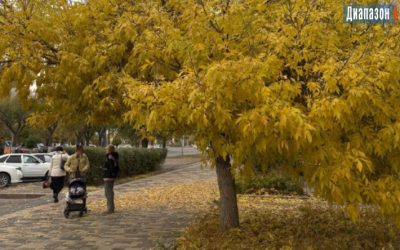 Как справиться с осенней усталостью