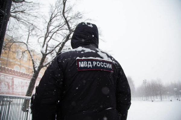 МВД России обязало водителей обновлять данные в ГАИ за 10 дней