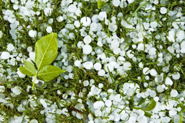 Сильные дожди с градом ожидаются на западе Казахстана