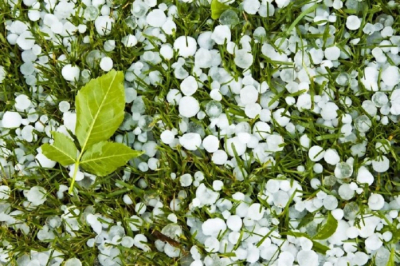 Сильные дожди с градом ожидаются на западе Казахстана