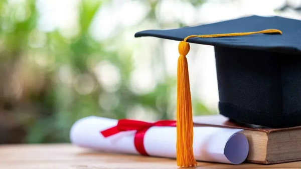 Гранты-2025: высокий конкурс и тысячи надежд на бесплатное обучение