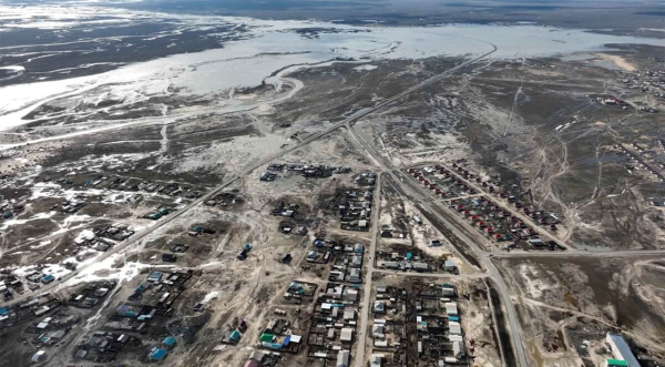 В Казахстане не зафиксированы случаи сибирской язвы на фоне паводков - Минздрав