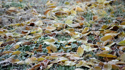 В зоне штормового предупреждения 9 октября оказались 16 регионов Казахстана