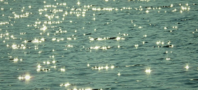 На Жасыбае упавший с катамарана мужчина не смог самостоятельно выбраться на берег