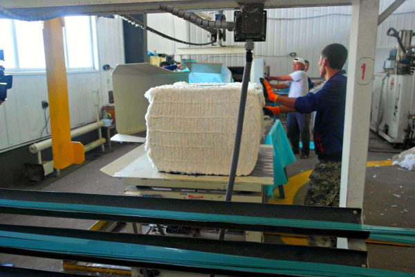 Посеяли хлопок, вырастили… кластер