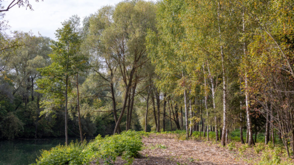 Из минуса в аномальный плюс: синоптики предупредили татарстанцев о климатических качелях 24/03/2026 &ndash; Новости