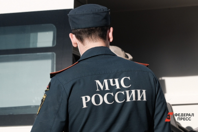 Люстра раскачивалась: землетрясение зафиксировали на юге Новосибирской области