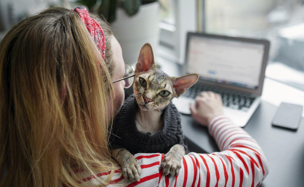 Аналитики оценили готовность россиян доверить выбор покупок ИИ