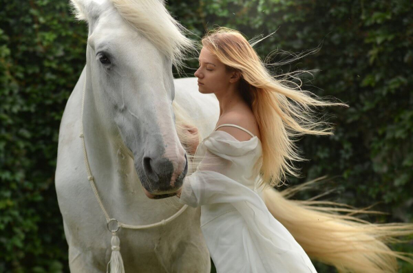 Мужчина на белом коне зашел в дом к возлюбленной (ВИДЕО)