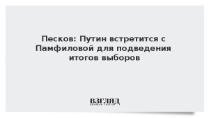 Песков: Путин встретится с Памфиловой для подведения итогов выборов
