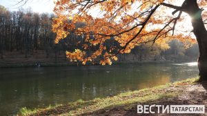 В Татарстане конец сентября ожидается на 5° теплее нормы